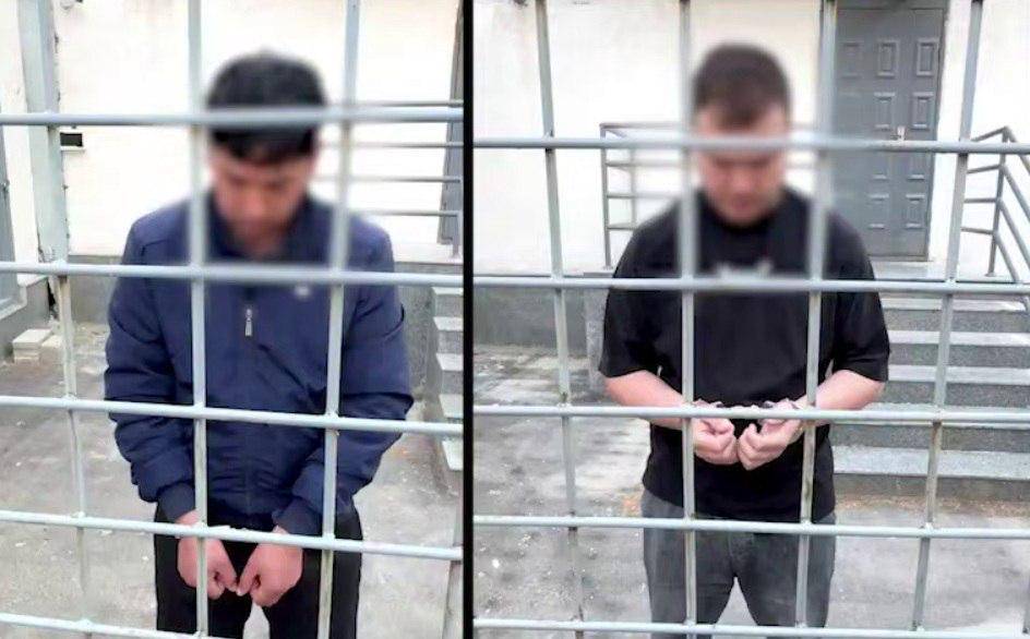 Toshkent viloyatida mushuklarni qiynoqqa solgan erkak 15 sutkaga qamaldi